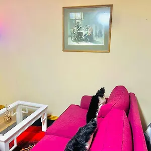 Guest house Affordable At Great Choice Guest Houses Cape Town